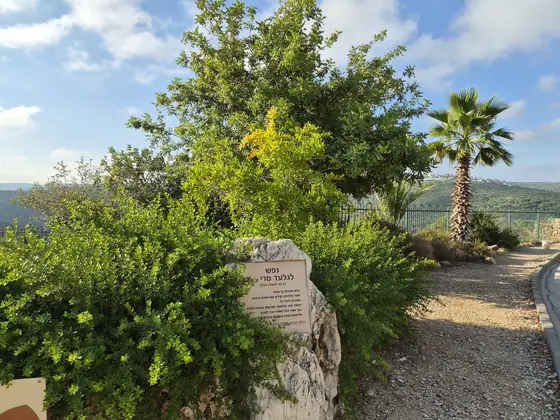 מצפור גלעד — תמונה 3
