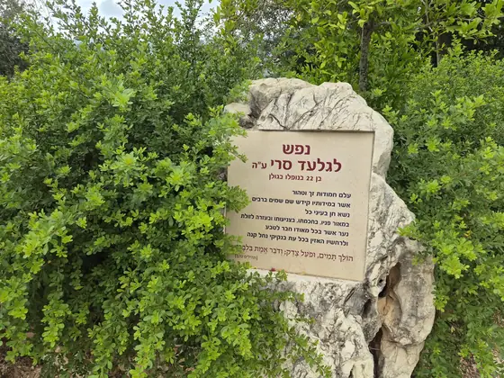 מצפור גלעד — תמונה 7