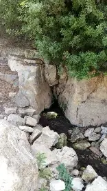עין האגוז — תמונה 1