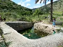 עין הביצה — תמונה 1
