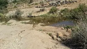 עין הביצה — תמונה 2