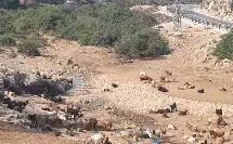 עין העיקול — תמונה 1