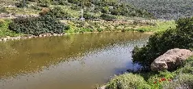 עין העיקול