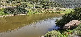 עין העיקול — תמונה 4
