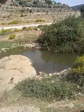 עין הצפצפה — תמונה 1