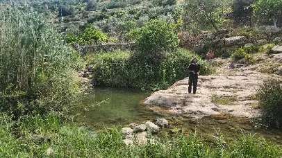עין הצפצפה