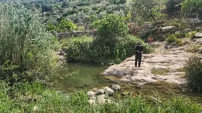 עין הצפצפה — תמונה 2