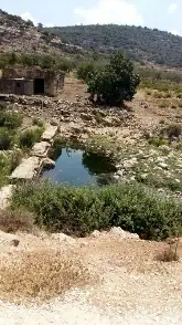 עין השופע — תמונה 2