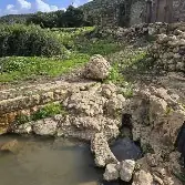 עין השופע — תמונה 3