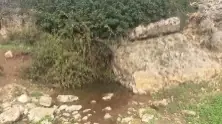 עין תנור ובריכת הצבים — תמונה 1