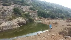 עין תנור ובריכת הצבים