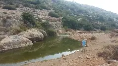 עין תנור ובריכת הצבים — תמונה 5