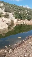 עין תנור ובריכת הצבים — תמונה 7