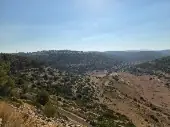 עין תנור ובריכת הצבים — תמונה 8