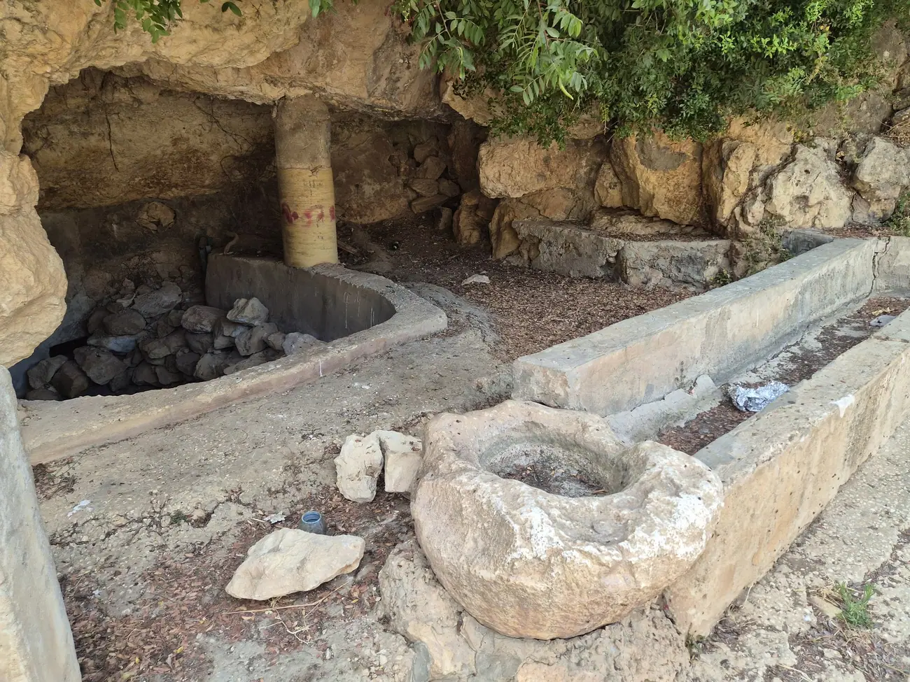 עינות דלעת