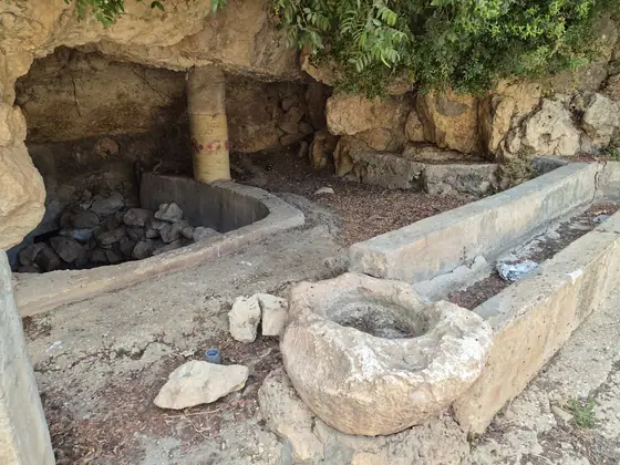 עינות דלעת
