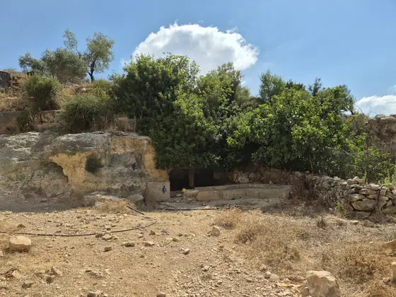 עינות דלעת — תמונה 2
