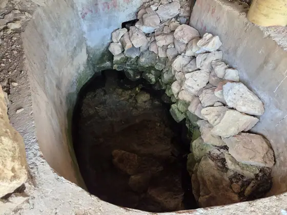 עינות דלעת — תמונה 3