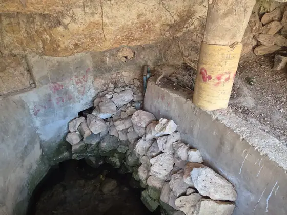 עינות דלעת — תמונה 4