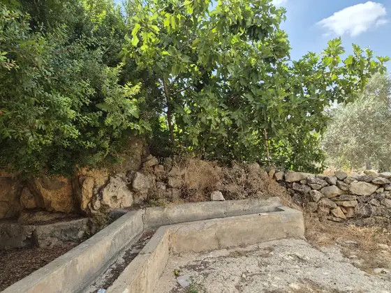 עינות דלעת — תמונה 5