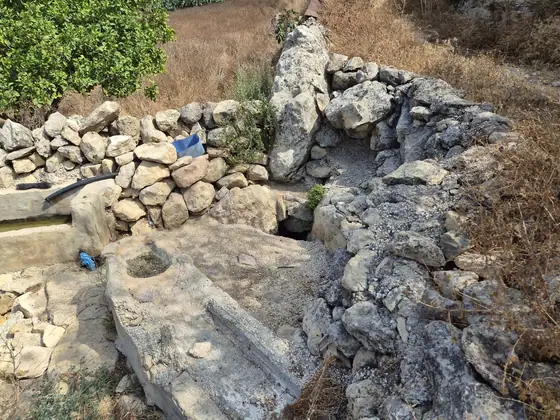 עינות דלעת — תמונה 6