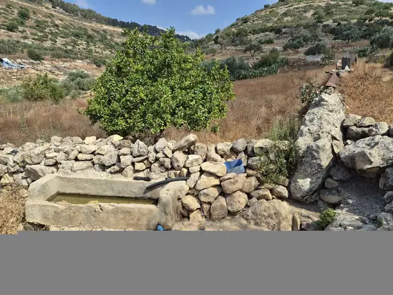 עינות דלעת — תמונה 8