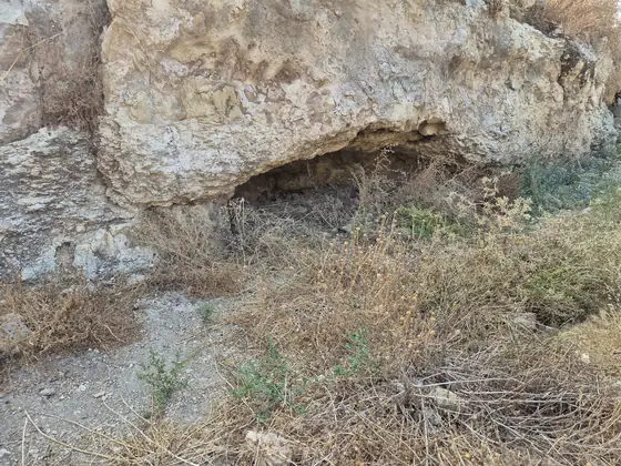 עינות דלעת — תמונה 9